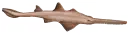 Sawfish Logo